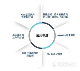 本土品牌MALDI-TOF質(zhì)譜獲醫(yī)療器械證，網(wǎng)絡(luò)技術(shù)開發(fā)助力精準(zhǔn)醫(yī)療新突破